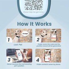 Pawaii modifiable pet profile tag displays owner and pet details.