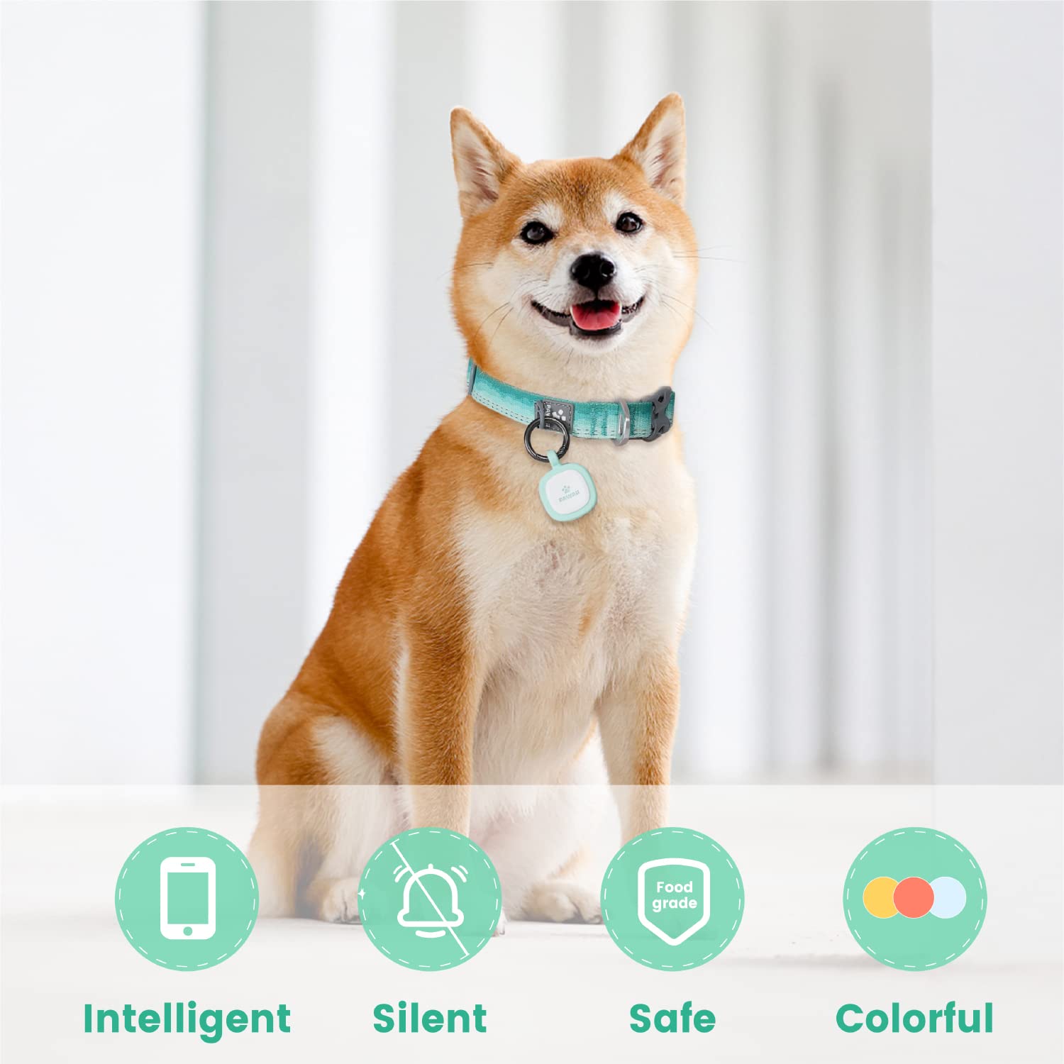 Pawaii Silent Silicone Dog ID Tag in green side view on collar during walk.