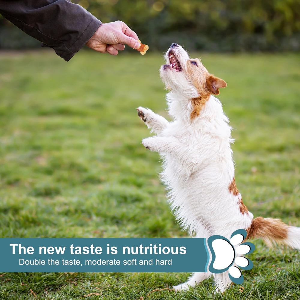 Pawant no-harmful-ingredients dog treats for peace of mind.