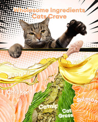 Pawaura catnip biscuits close-up showing crunchy texture and dental care