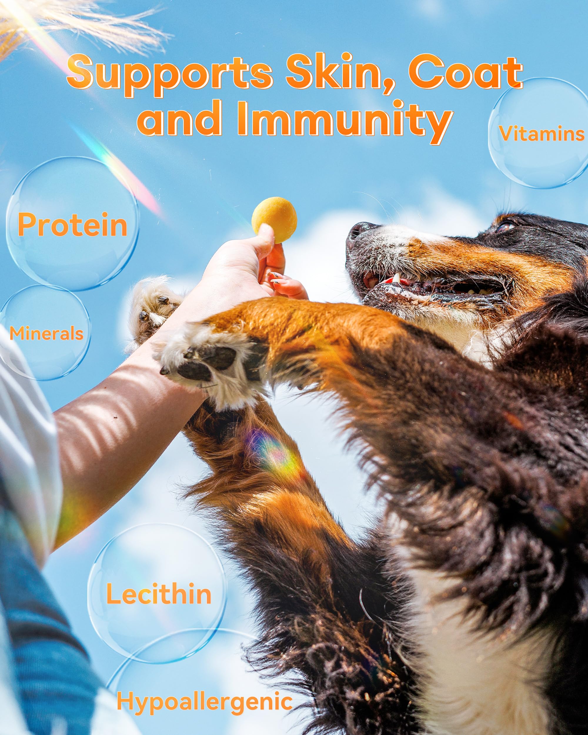 Pawaura egg yolk aroma preserved in jar signaling freshness.