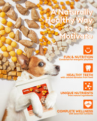 Pawaura ingredients blend: chicken, quail egg yolk, hearts, liver, salmon, pumpkin for balanced nutrition.