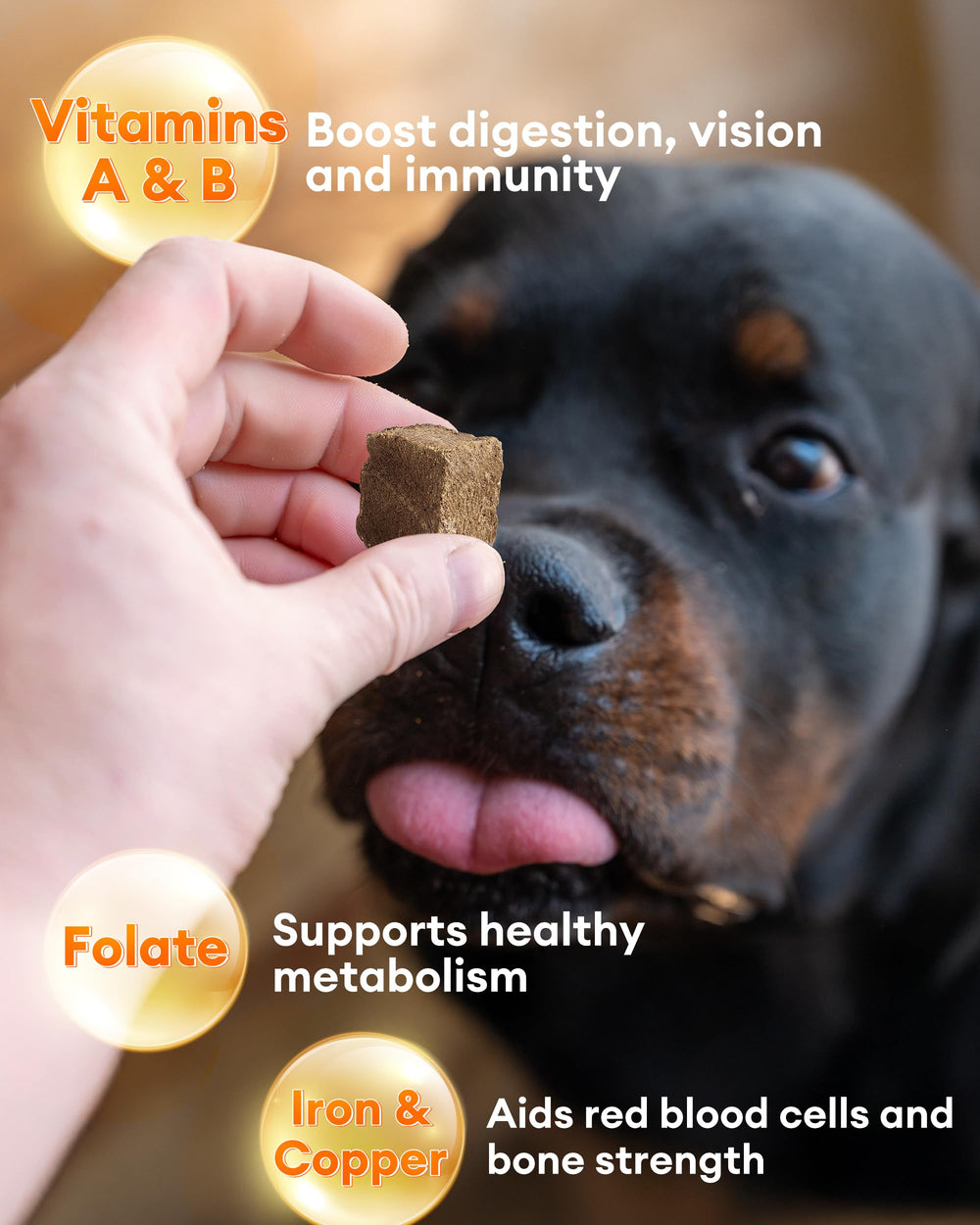 Pawaura nutrient-dense beef liver highlighting iron and vitamin A for active pets.