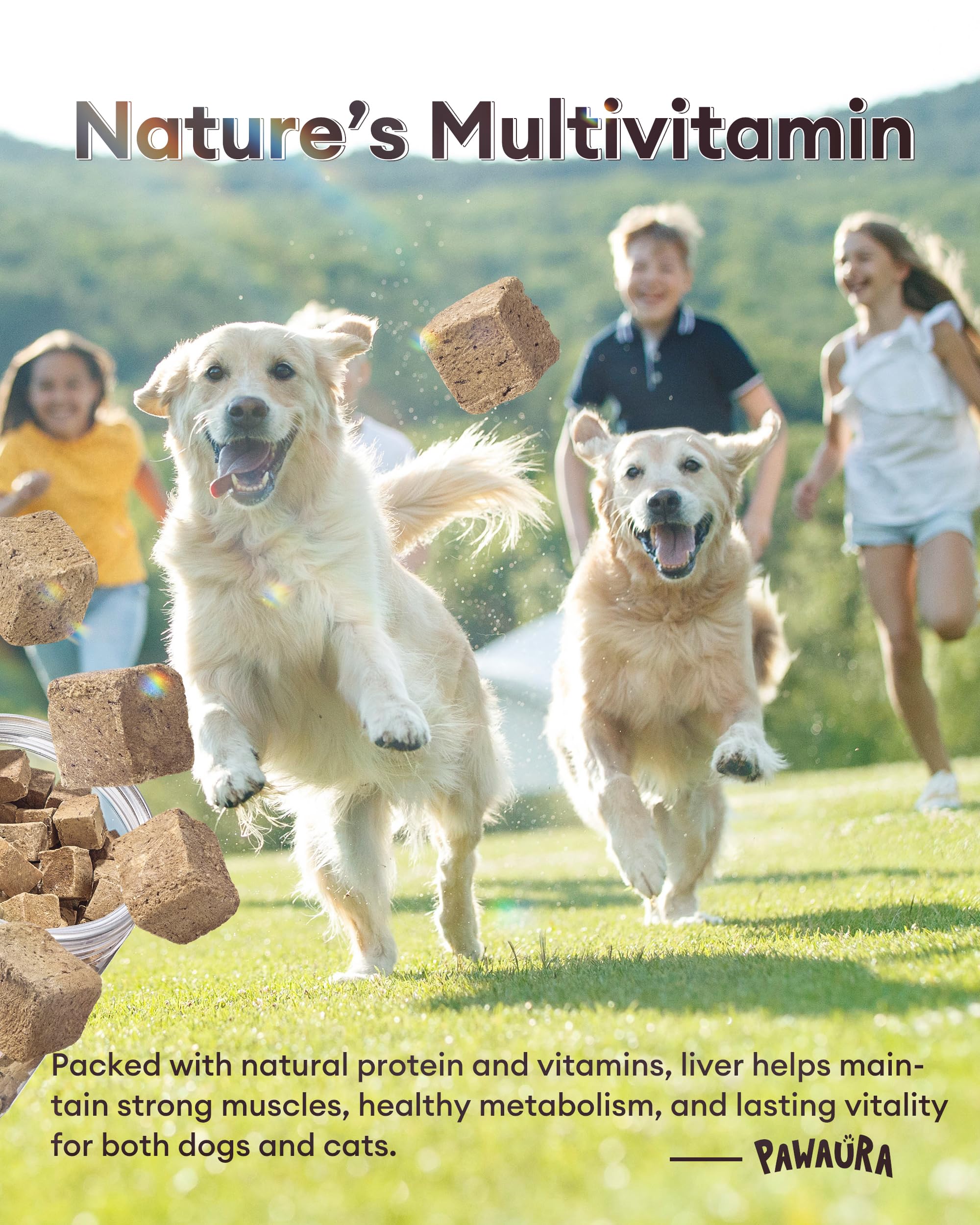 Pawaura resealable tub preserves freshness and crunch for treats.