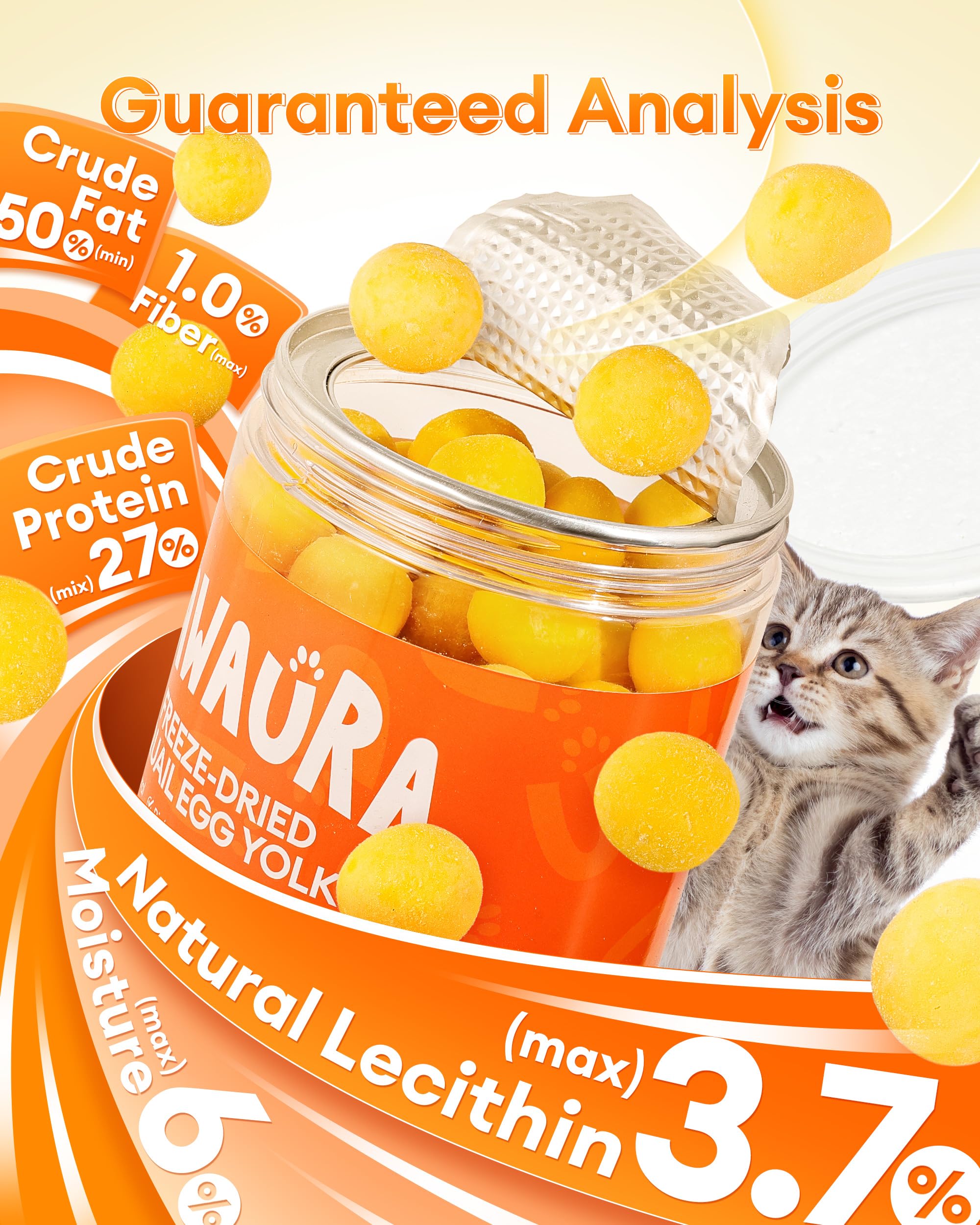 Pawaura treats during playtime close-up of dogs and cats enjoying rewards.