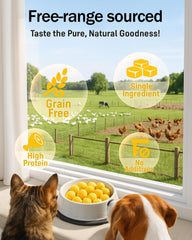 Pawaura treats texture close-up showing soft, satisfying bite.