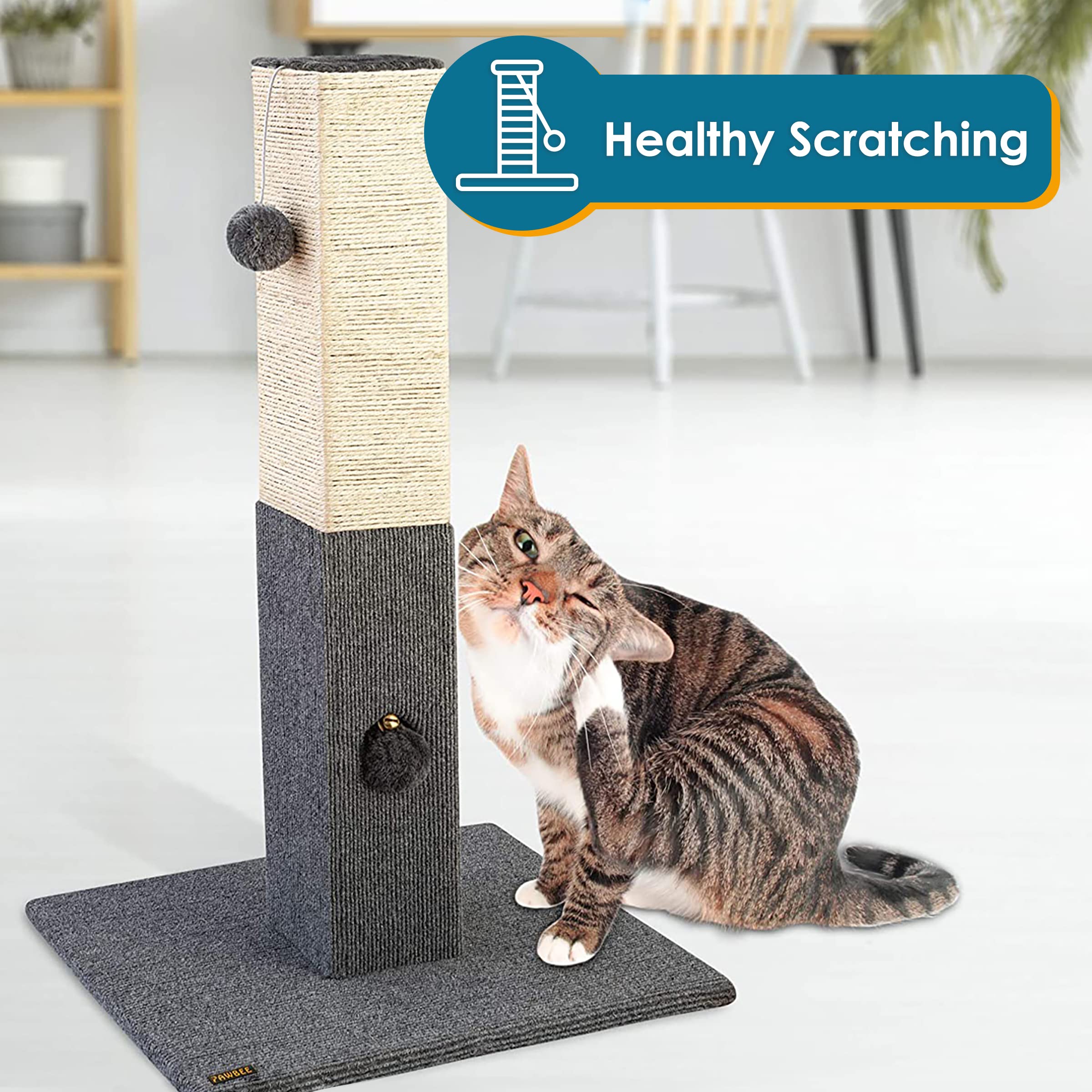 PAWBEE indoor play scene shows cats stretching and swatting comfortably