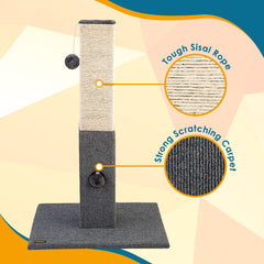 PAWBEE jingle bell and softball toy promotes interactive play and exercise