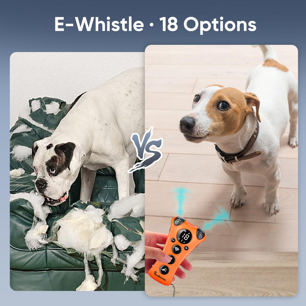 PawBehave with 18 dog whistle modes supports focused recall and humane cues.