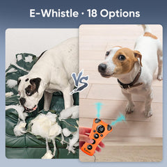 PawBehave with 18 dog whistle modes supports focused recall and humane cues.