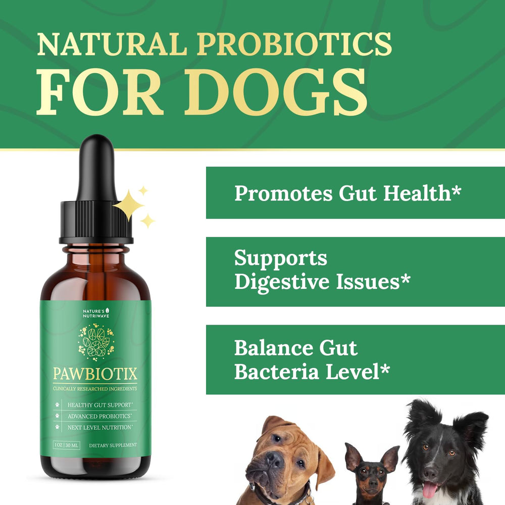 Pawbiotix dropper dispense showing easy daily dosing for dogs.
