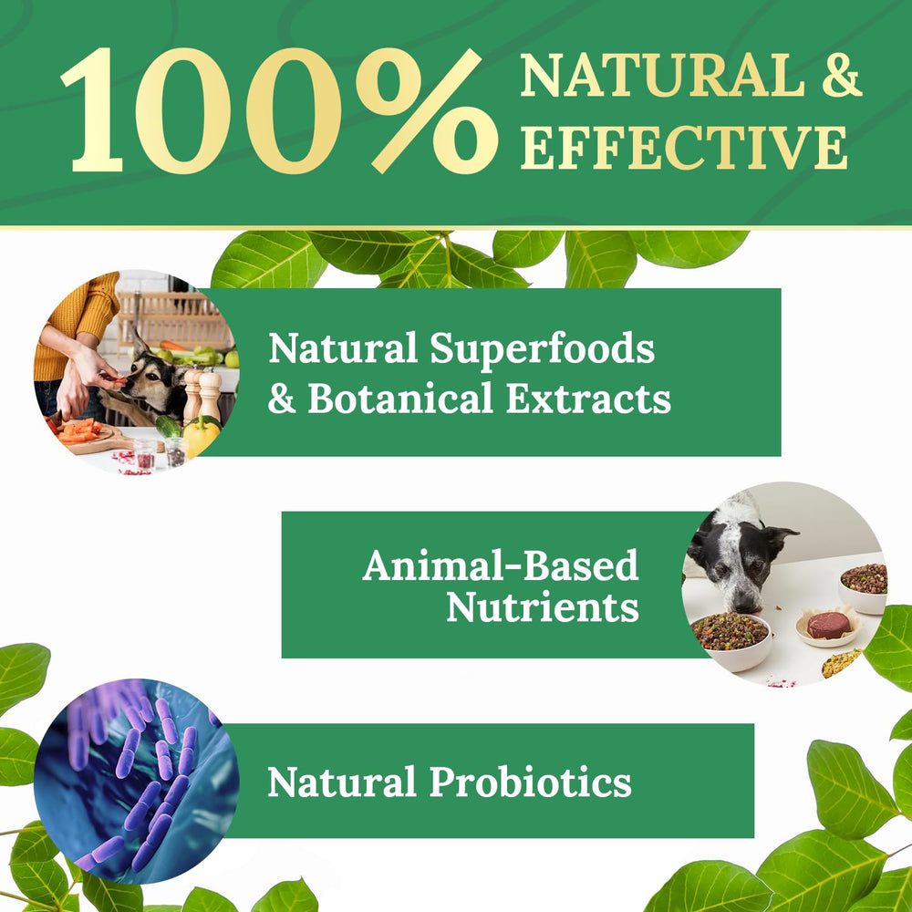 Pawbiotix key ingredients kelp and chicory root highlighted.