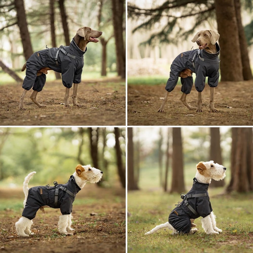 PAWBOSE zipper closure aids easy on/off in damp weather.