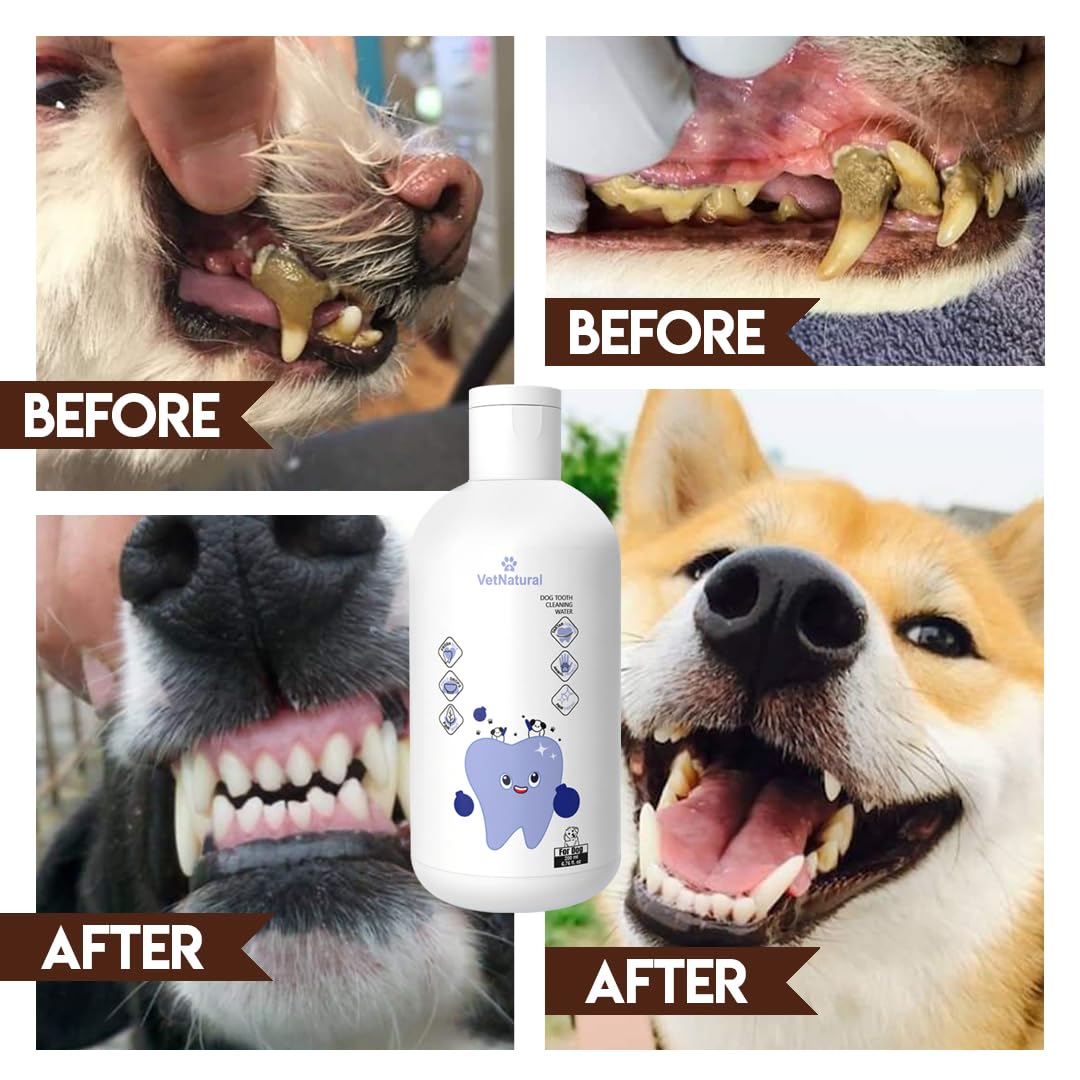 PawBright Dental Plus dog teeth closeup illustrating cleaner teeth and fresher breath.
