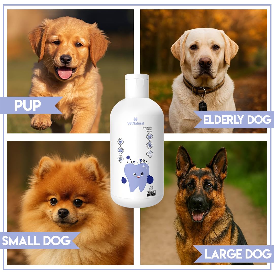 PawBright Dental Plus easy daily routine image showing no brushing required.