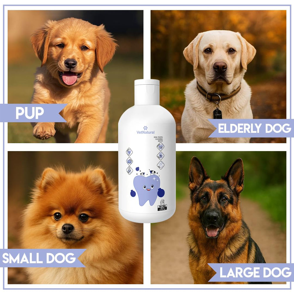 PawBright Dental Plus easy daily routine image showing no brushing required.