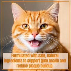 PawBright Dental Plus odorless formula closeup highlighting gentle, flavorless dental care.