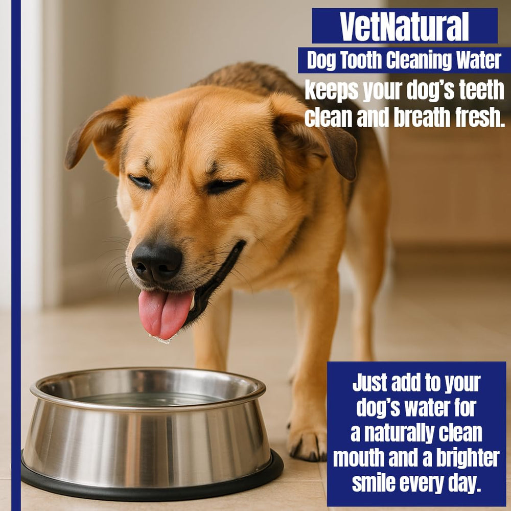PawBright Dental Plus packaging and product information by SINCE 1871 GÜLLÜOGLU.