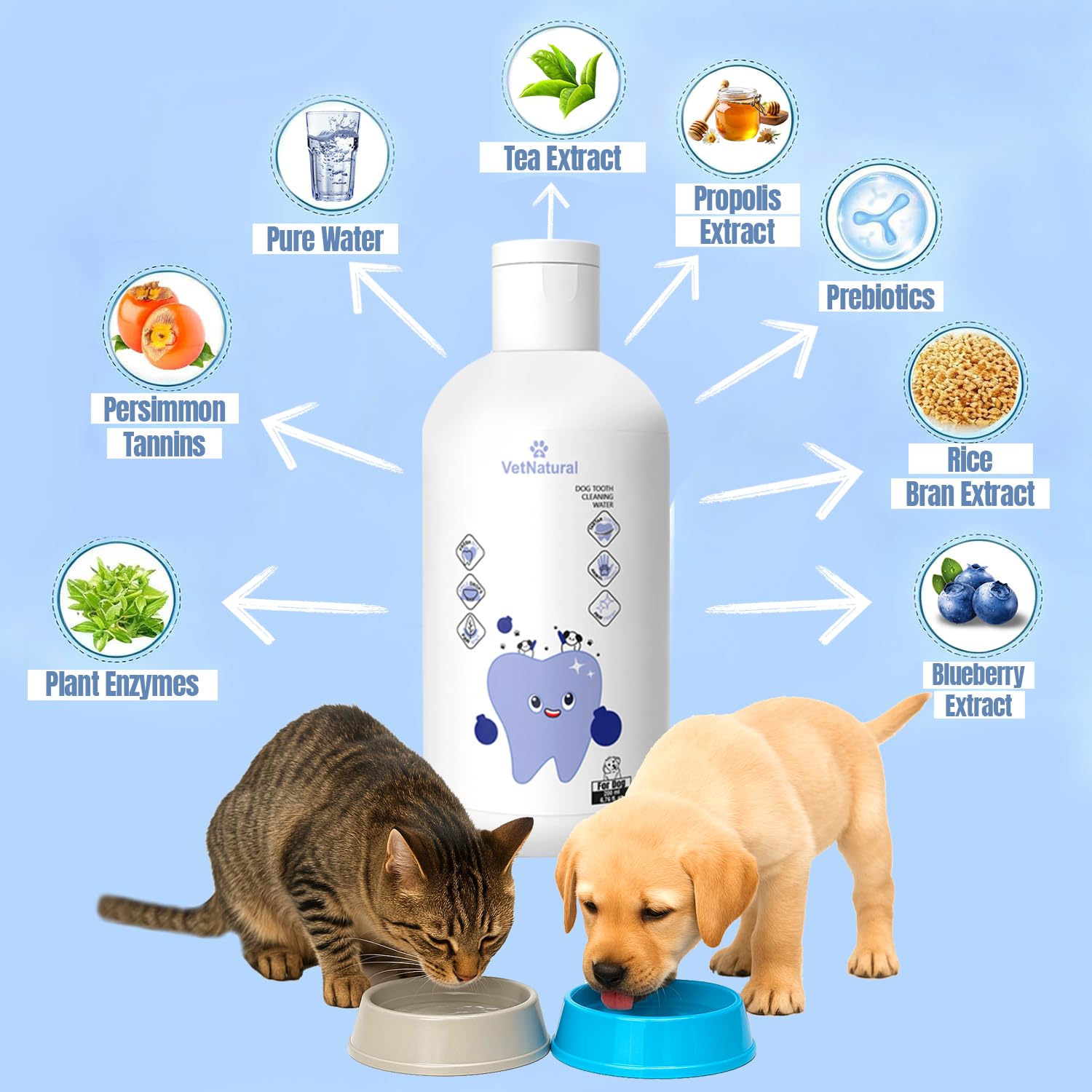 PawBright Dental Plus water bowl dispense showing odorless formula mix for pets.