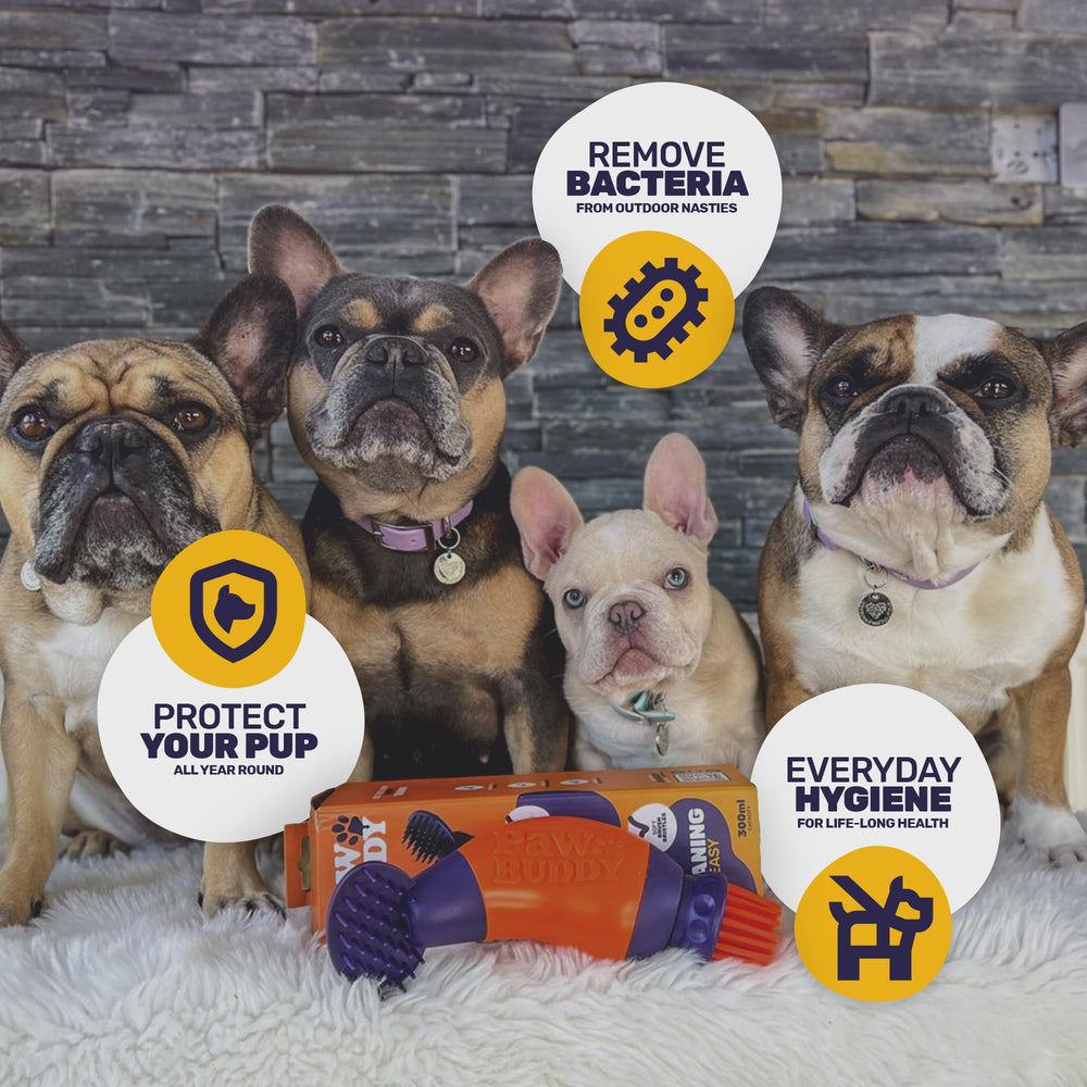 PawBuddy helps reduce indoor mud by keeping paws clean after outdoor adventures.