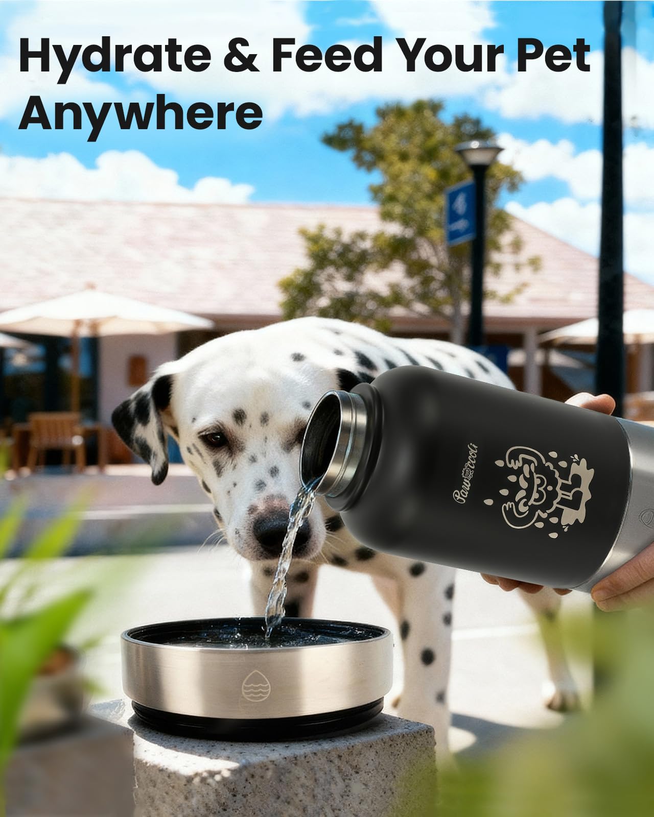 Pawccoli BPA-free construction emphasizes pet-safe materials for everyday use.