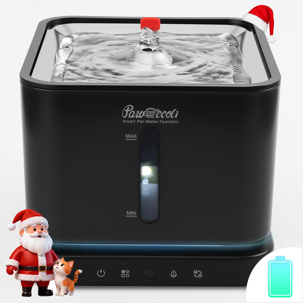 Pawccoli cordless cat water fountain with stainless steel tray delivers fresh hydration on demand.
