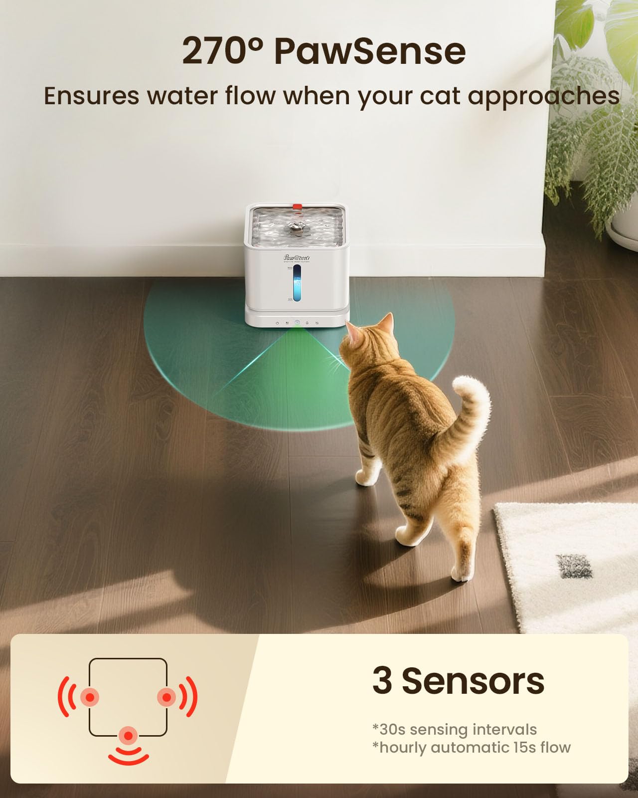 Pawccoli easy-clean design with removable components for sanitation.