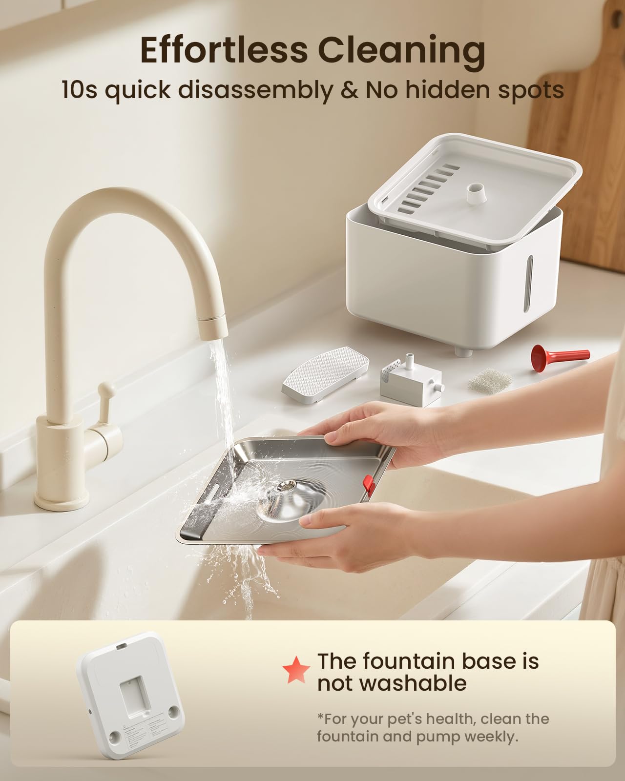 Pawccoli removable tank makes refilling and cleaning effortless.