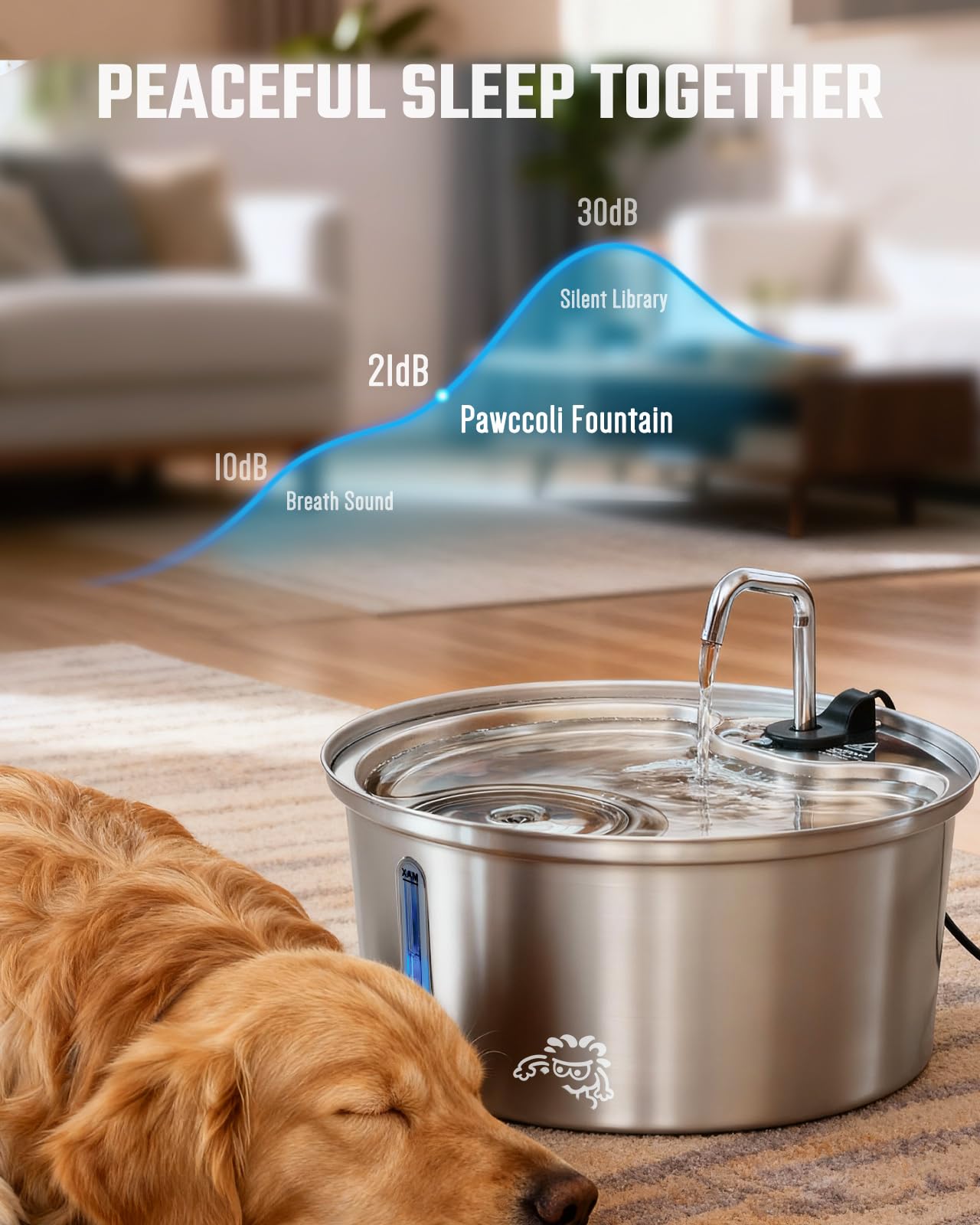 Pawccoli stainless-steel dishwasher-safe construction simplifies cleaning and maintenance.