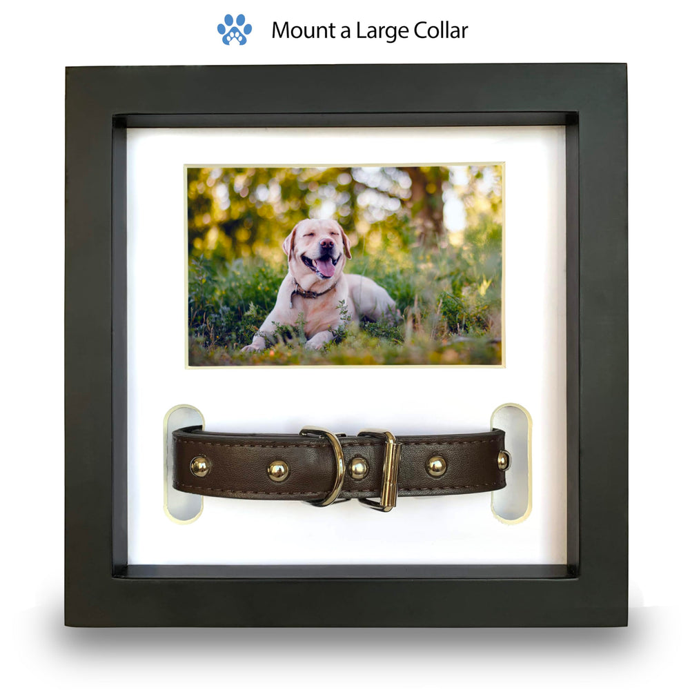 PAWCEPTIVE handwritten-note display to honor a pet's memory
