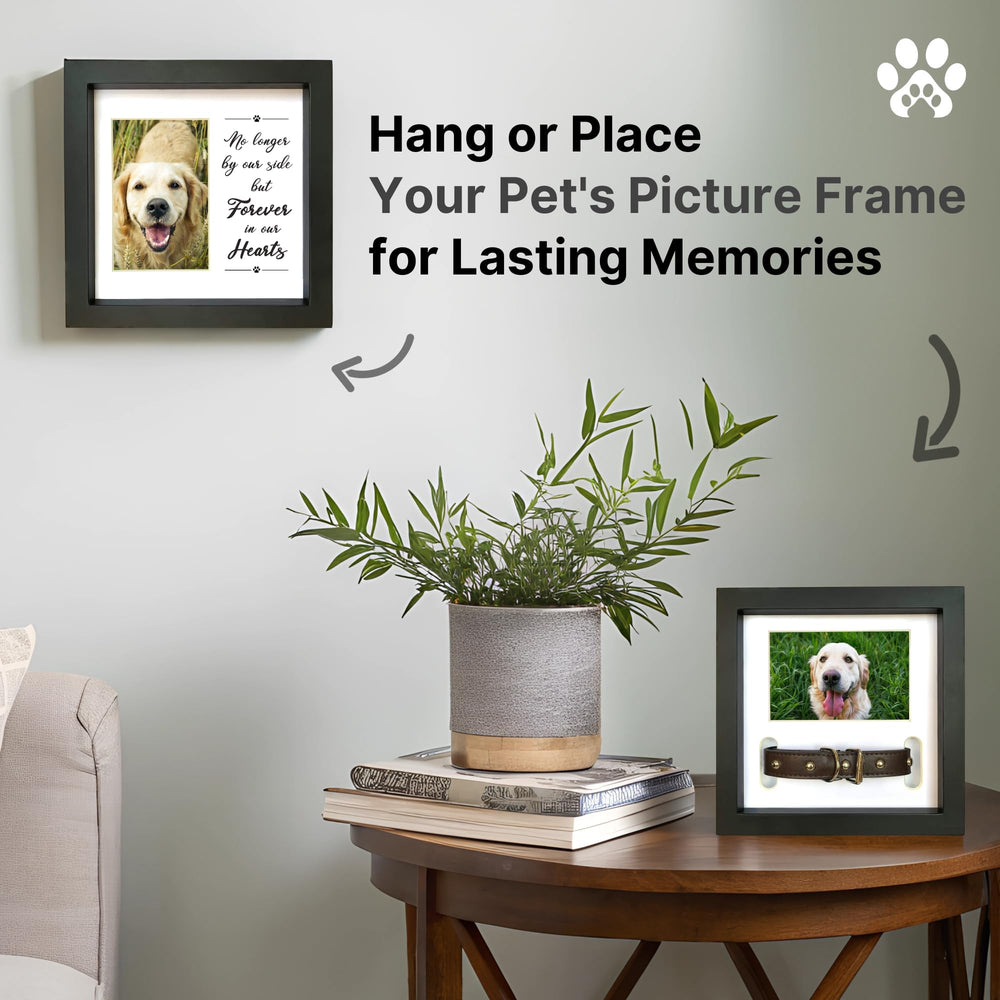 PAWCEPTIVE home décor memorial frame fits any room setting