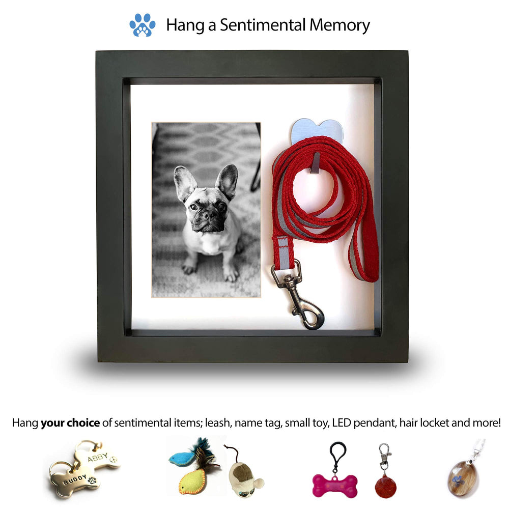 PAWCEPTIVE wall or table mount frame for versatile placement