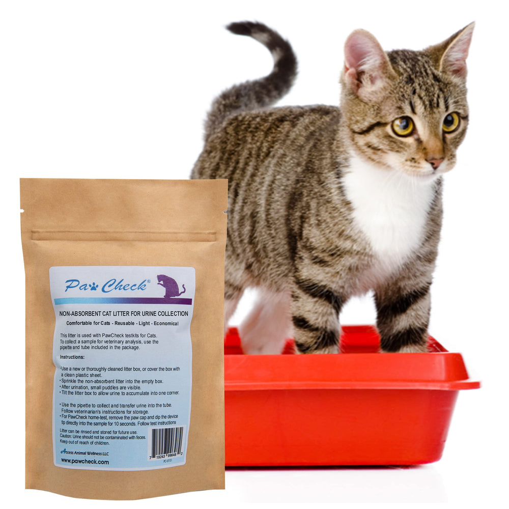 PawCheck reusable litter packaging highlights economical, low-waste urine collection solution.