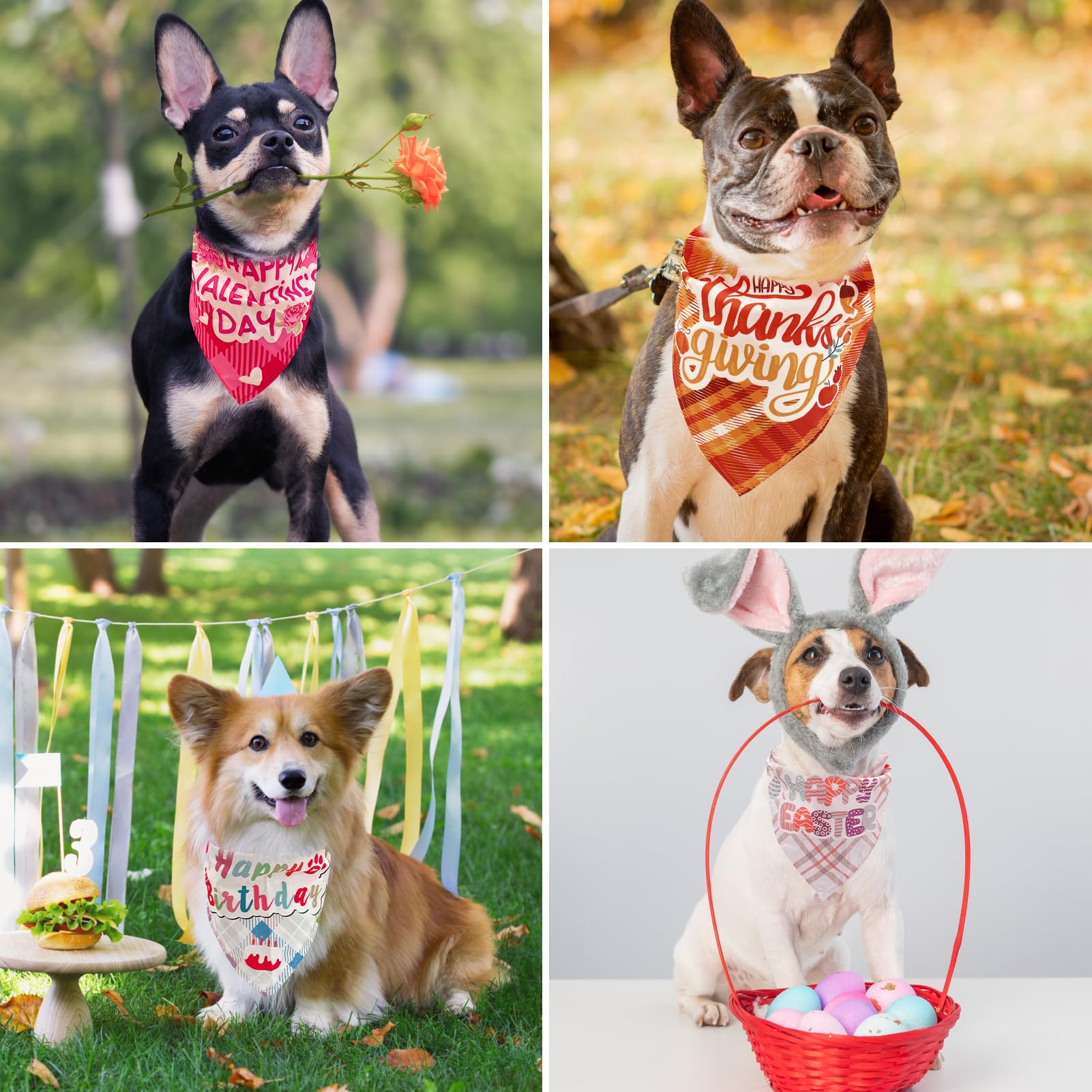 PAWCHIE bandana dog model wearing shows versatile sizing for many dogs