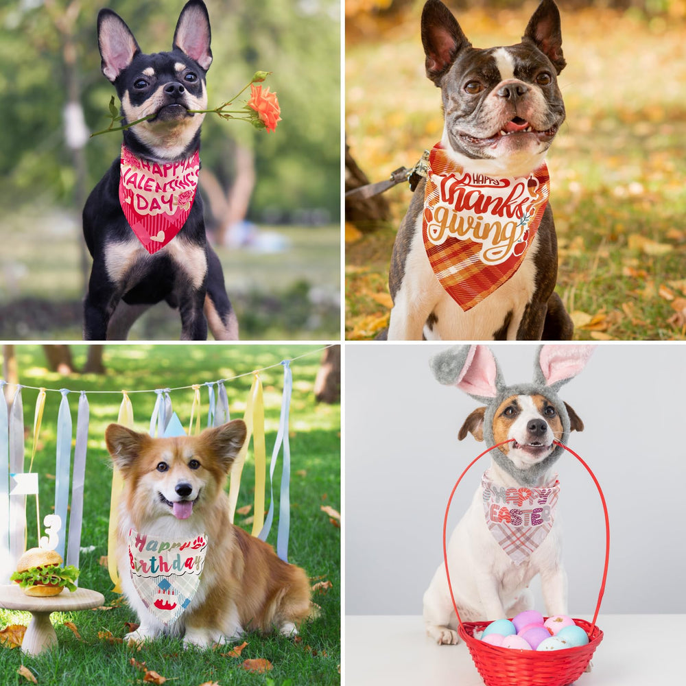 PAWCHIE bandana dog model wearing shows versatile sizing for many dogs