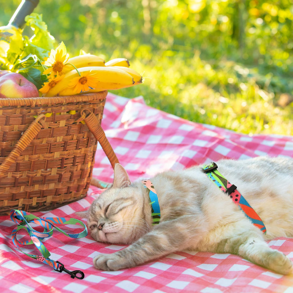 PAWCHIE 360-degree-rotation leash connection enables smooth direction changes.