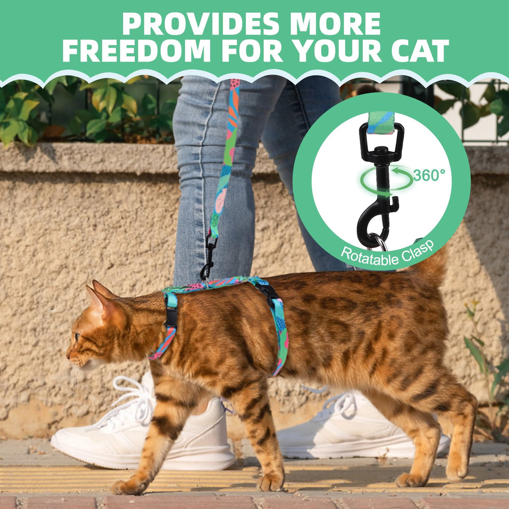 PAWCHIE harness with D-ring and bell supports safe outdoor exploration.