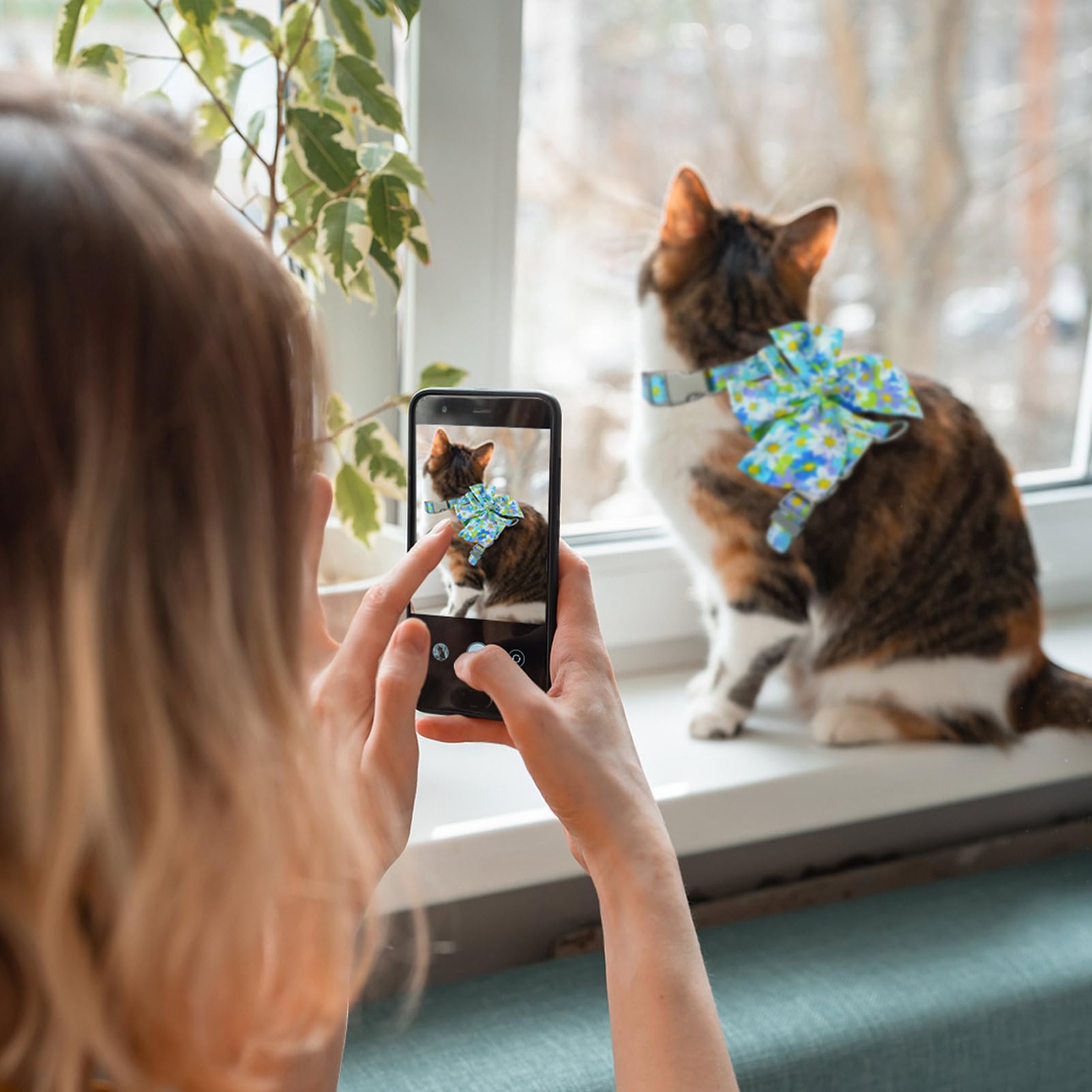 PAWCHIE harness features durable D-ring for safe outdoor exploration