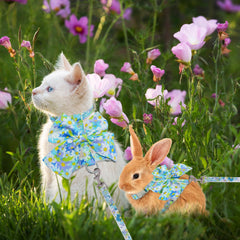 PAWCHIE escape-proof cat harness provides secure fit to prevent escapes
