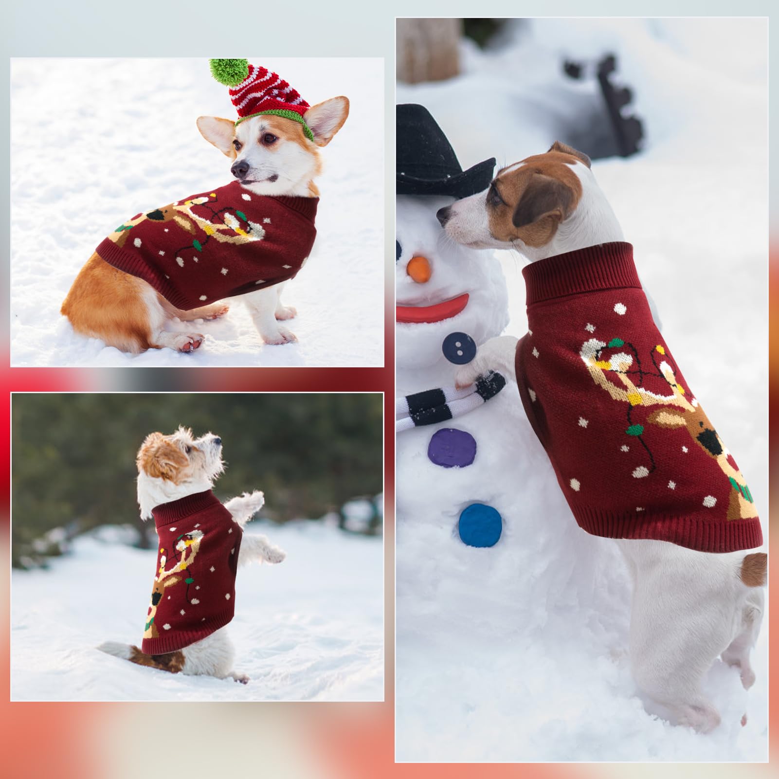 PAWCHIE Christmas sweater worn during winter walk for comfort