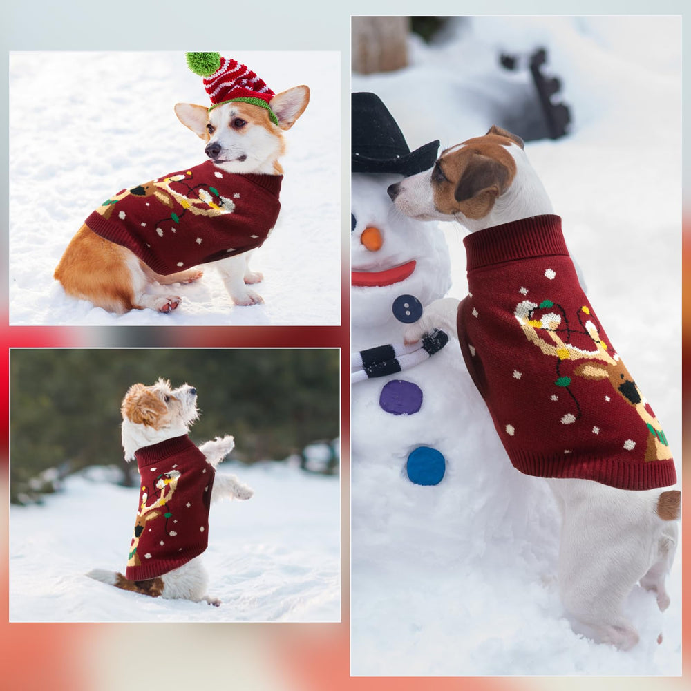 PAWCHIE Christmas sweater worn during winter walk for comfort