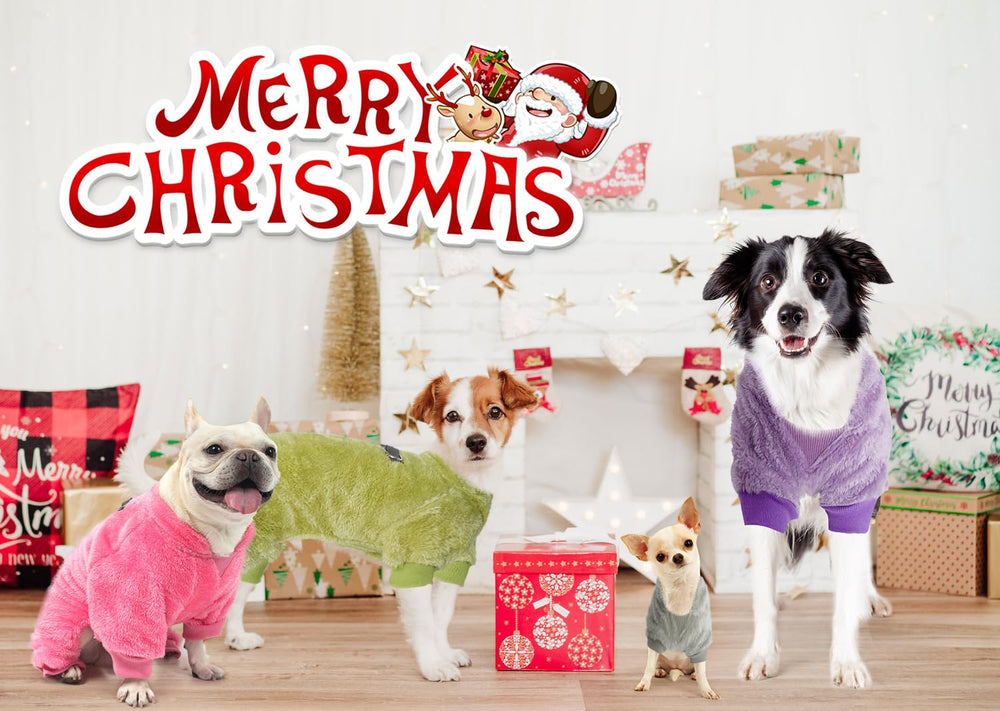 PAWCHIE green color option provides cheerful warmth for small dogs