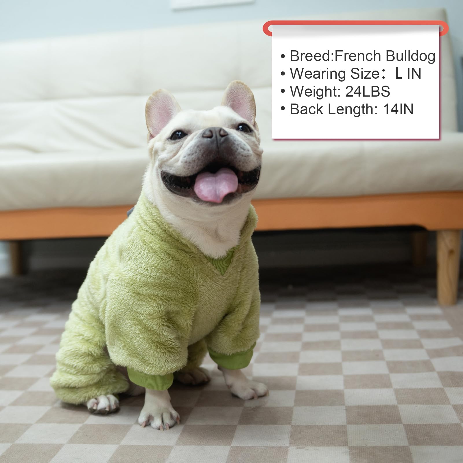 PAWCHIE cozy winter wear ideal for lounging or light outdoor use