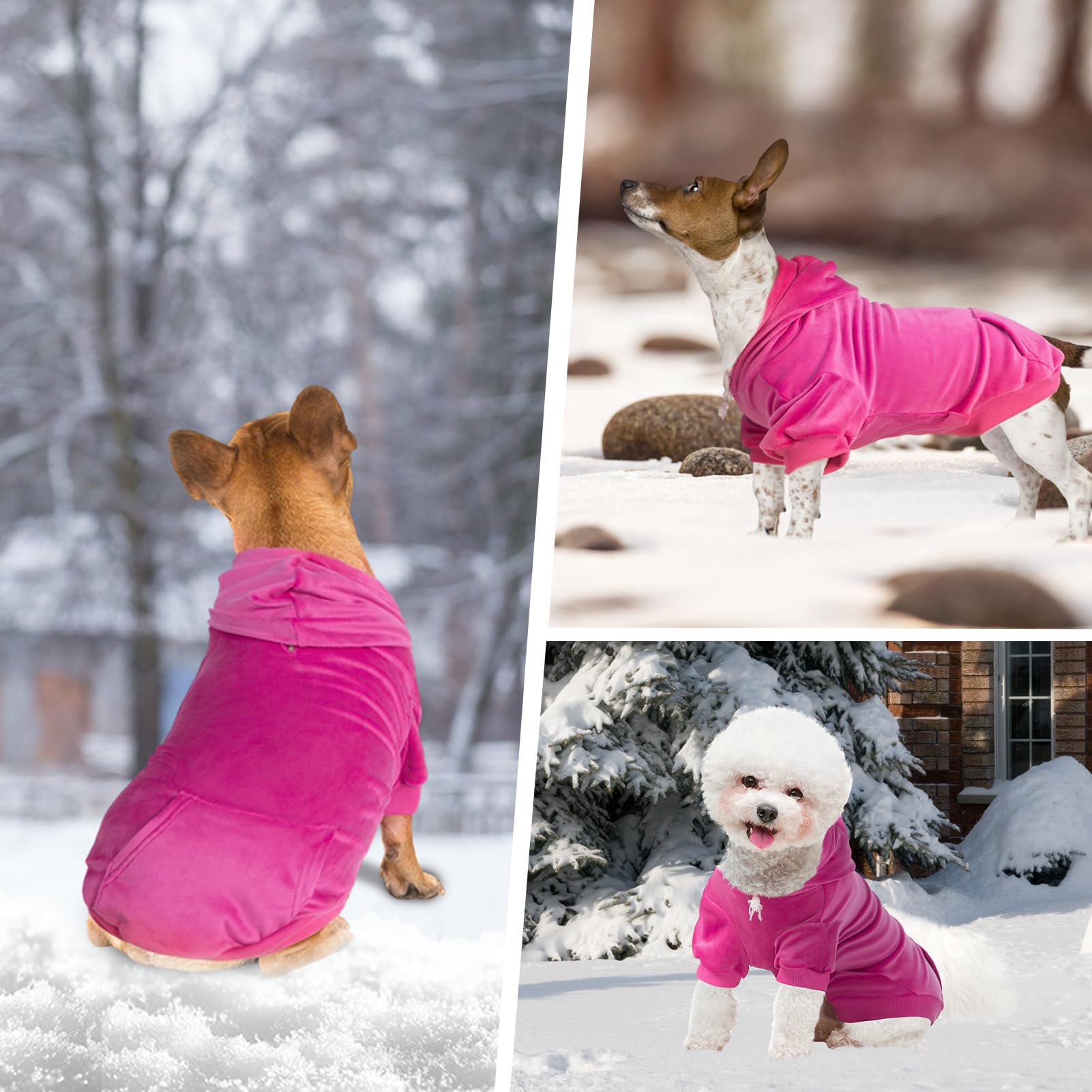 PAWCHIE dog hoodie pullover design for easy on off and style