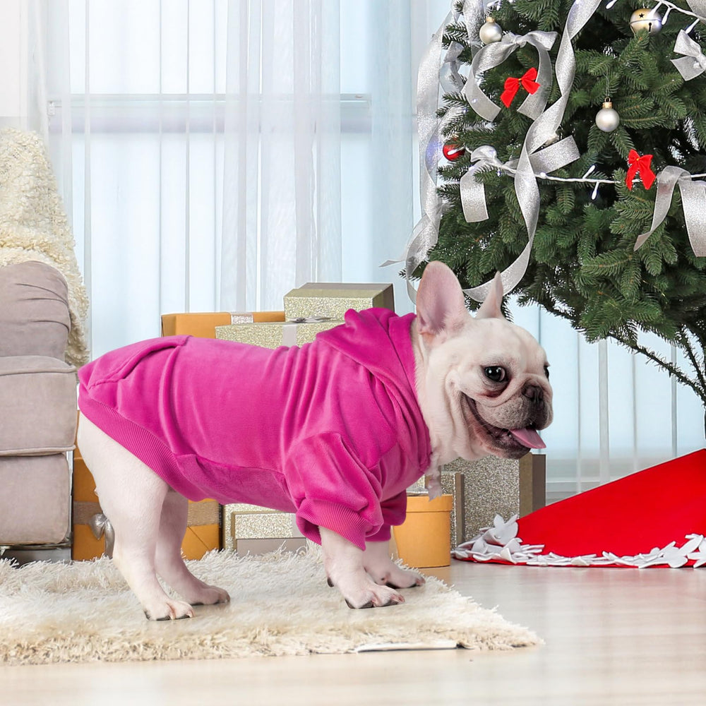 PAWCHIE dog hoodie size range to fit most dogs