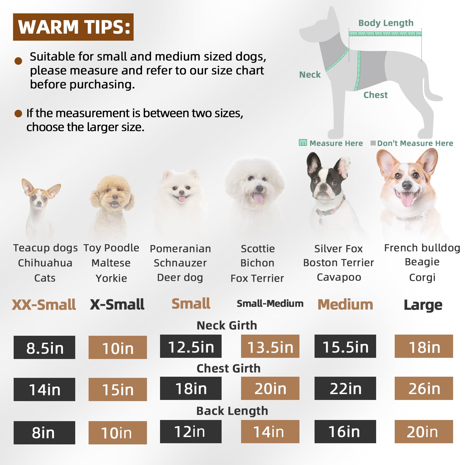 PAWCHIE leash-ready back with D-ring for easy walking adventures