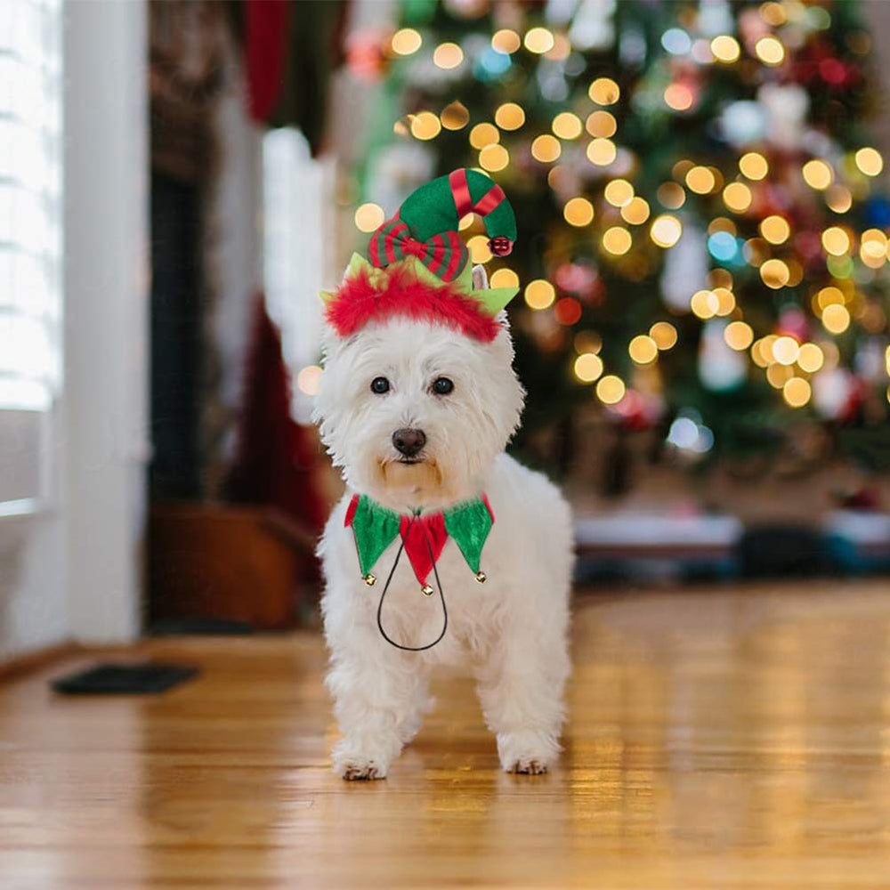 PAWCHIE elf set packaging shows included items