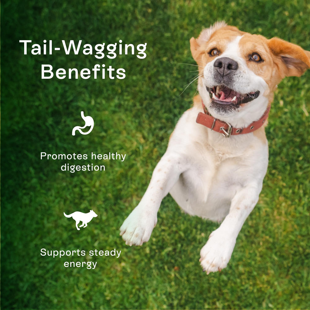 PawCo Dog Treats taurine formula supports heart function in a crunchy snack