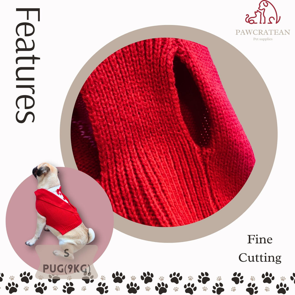 Pawcratean animal hoodie design on a pet highlights playful style.