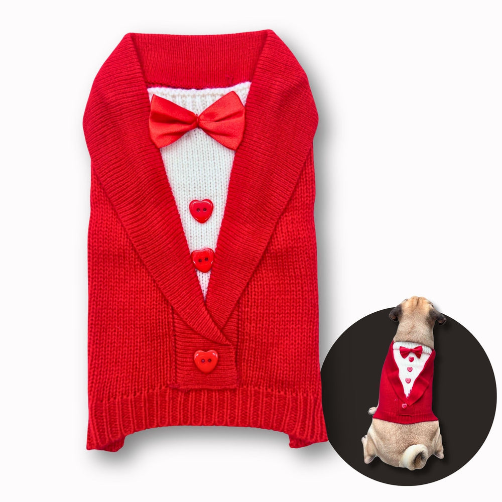 Pawcratean cute-sweater-dog-hoodie with red bowtie for photo-ready charm.